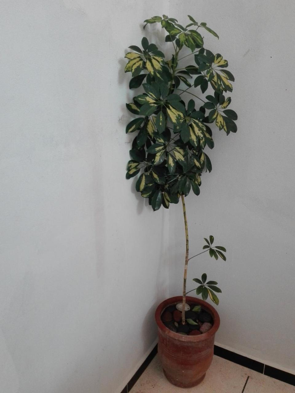 Asklou Appartement A ميرلفت المظهر الخارجي الصورة